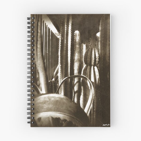 Item preview, Cactus Garden Antiqued designed and sold by TravelPhotoArt.