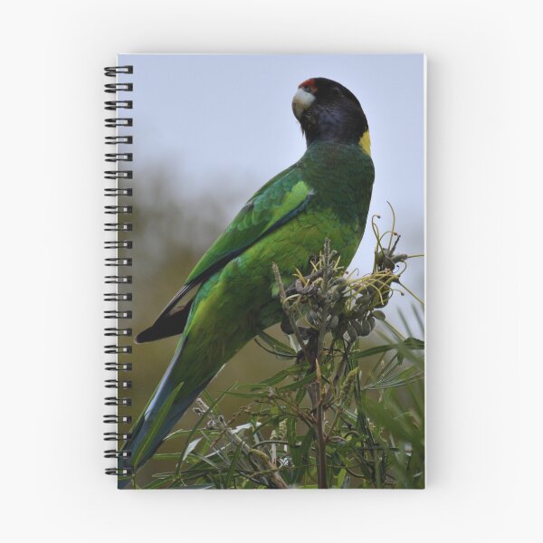 Item preview, Twenty-Eight designed and sold by CodyLaskeyPhoto.