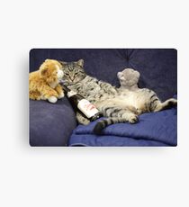Just me, my beer, and my pussies... Canvas Print
