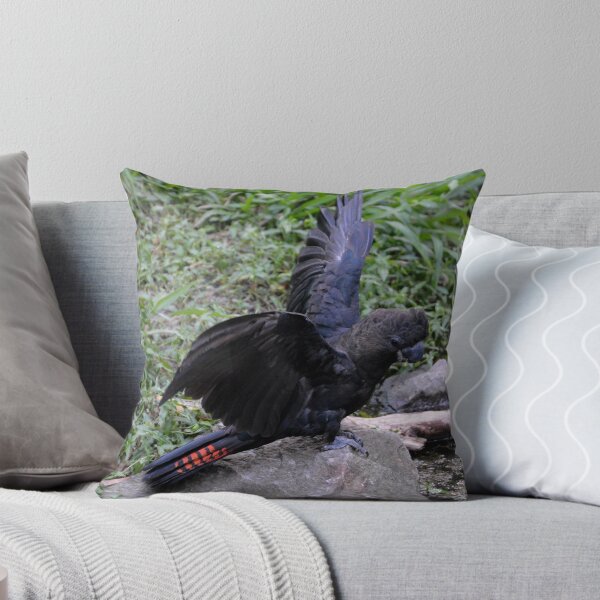 Item preview, Glossy Black Cockatoo designed and sold by CodyLaskeyPhoto.