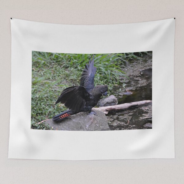 Item preview, Glossy Black Cockatoo designed and sold by CodyLaskeyPhoto.
