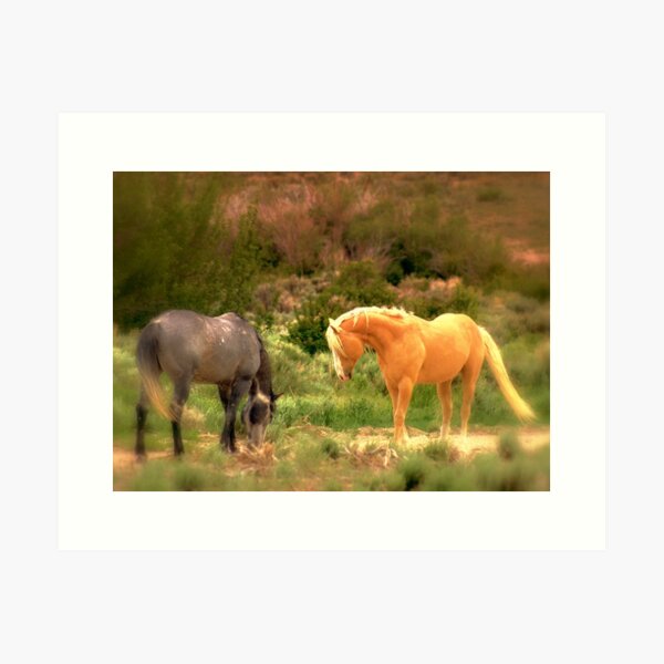 Joy In Everything Art Print