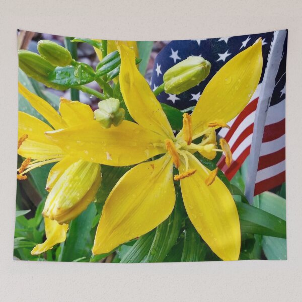Item preview, Patriotic Collection Color WITHOUT Stamp Border designed and sold by Erica Robbin.