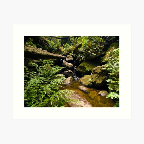 Item preview, Private Garden designed and sold by Malcolm Katon.