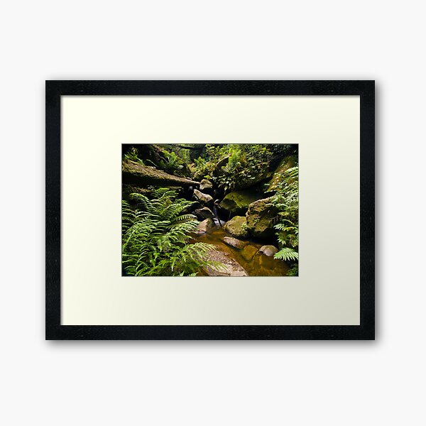 Item preview, Private Garden designed and sold by Malcolm Katon.