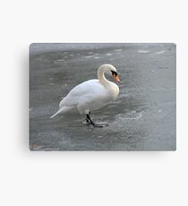 Skating Swan Canvas Print