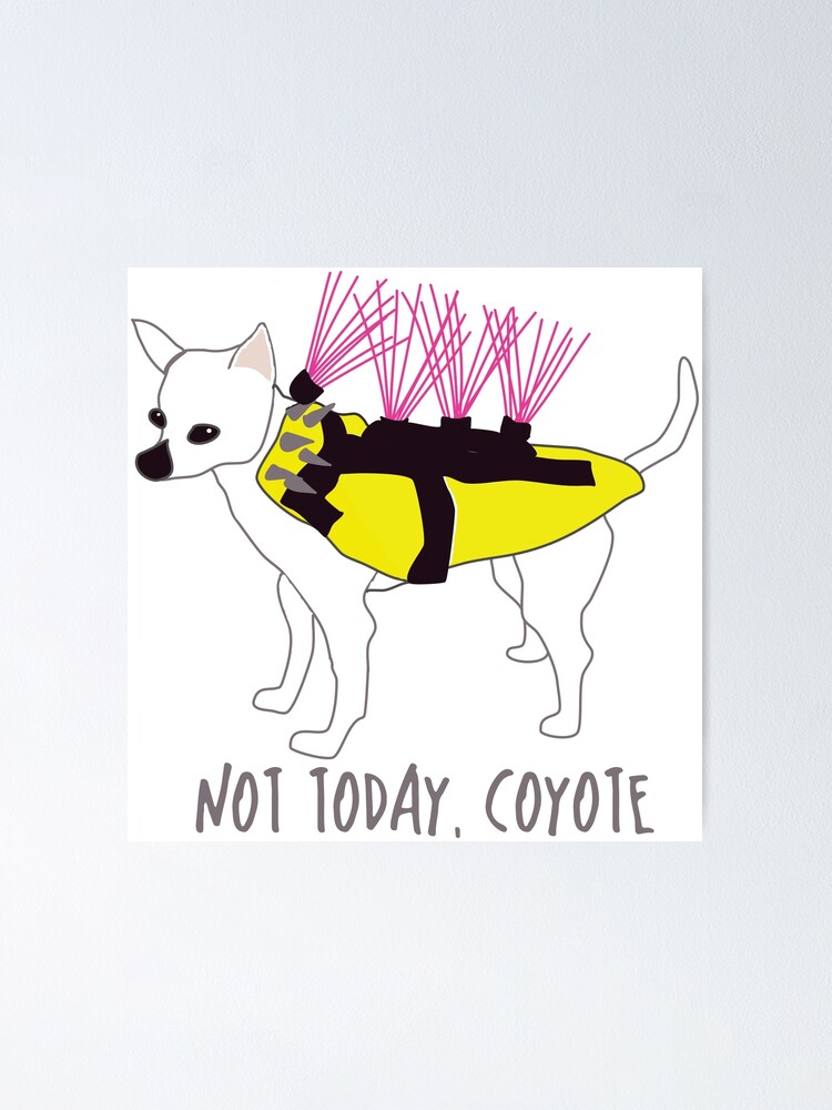 not today coyote vest