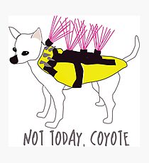 Lámina fotográfica Hoy no, Coyote - Tough Little Chihuahua en una chaqueta de pinchos