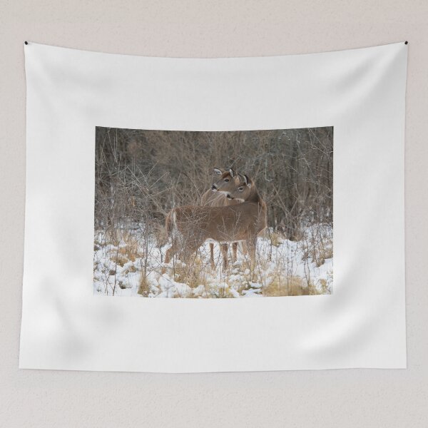 Item preview, Autumn Deer designed and sold by James Cumming.