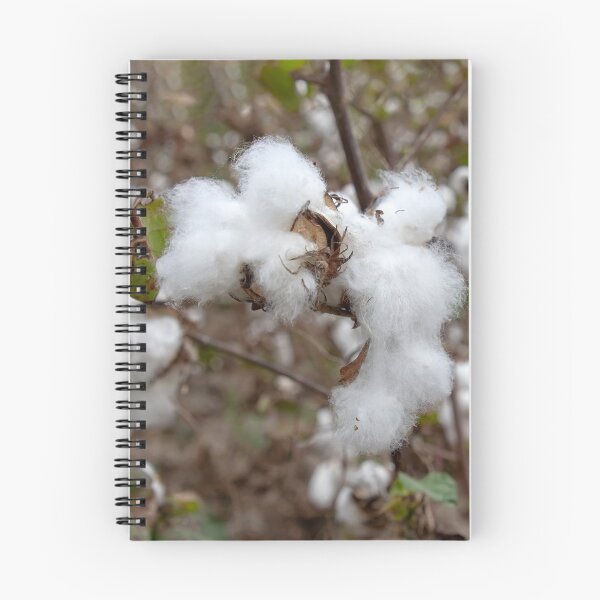 Item preview, White fluff cotton plants on blurred background. Greece designed and sold by EG Creativity Art.
