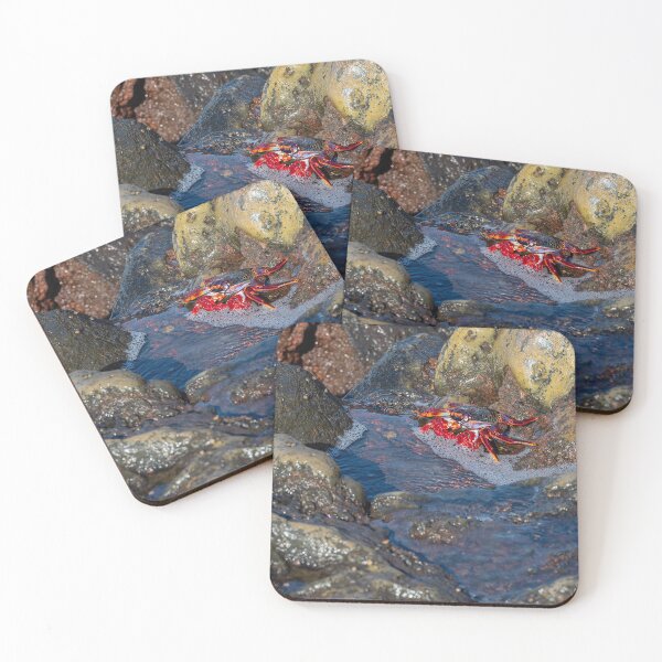 Item preview, Red Rock Crab designed and sold by iCimages.net.