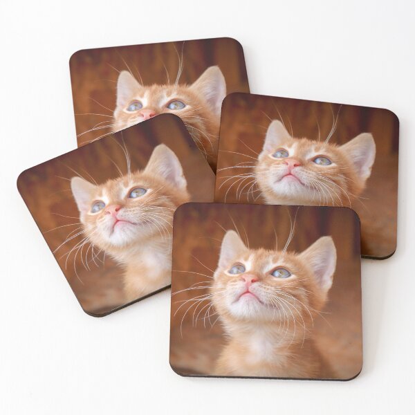 Item preview, Kitten eyes to heaven designed and sold by fourretout.