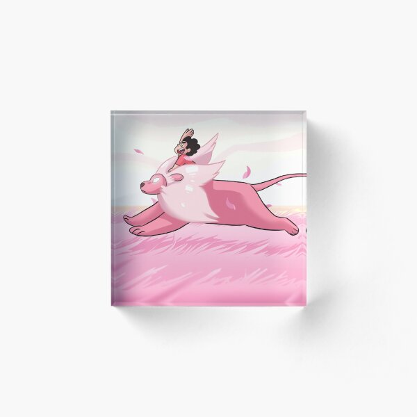 Steven Universe - Riding Acrylic Block