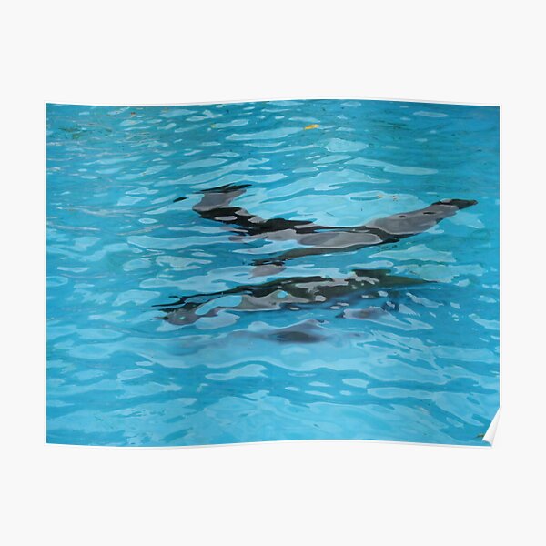 Under water: swimming Poster