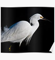 White Bird Poster