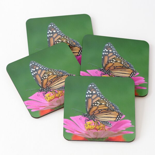 Item preview, Regal Monarch designed and sold by Frankie Cat Photography.