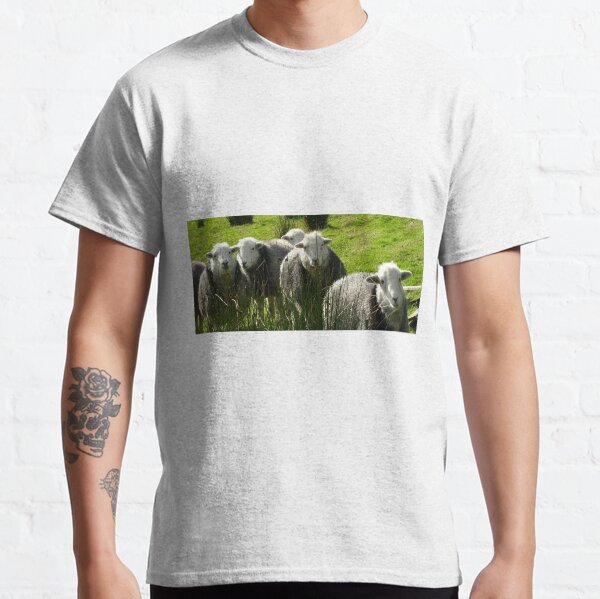 Still More Herdwicks ~ Leac Na Ban, Argyll, Scotland Classic T-Shirt