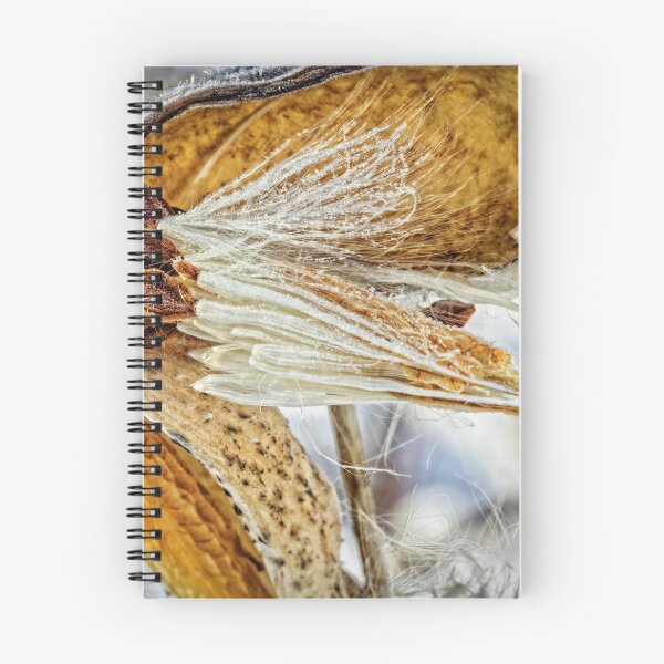 Item preview, Frosted Milkweed designed and sold by Robert Alsop.