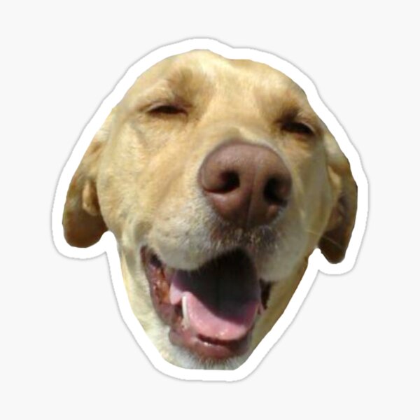 Item preview, Puppy sticker  designed and sold by MaddieMJF.