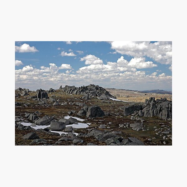 Item preview, Alpine Vista designed and sold by Harry Oldmeadow.