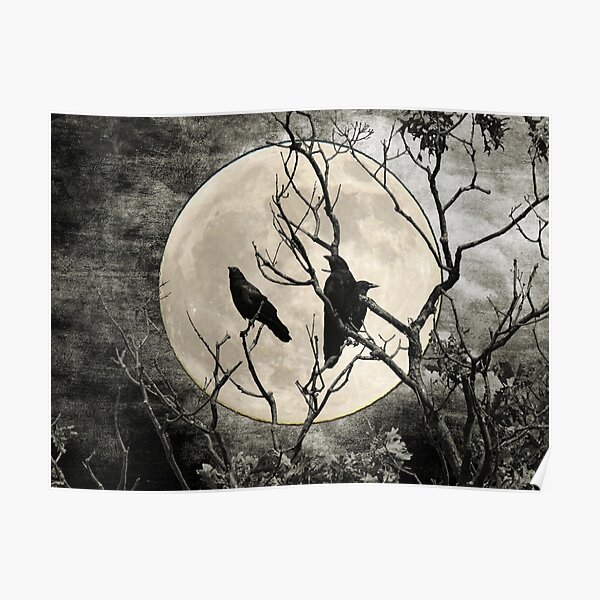 Black White Crows Birds Tree Moon Landscape Home Decor Matted Picture Print A268 Poster