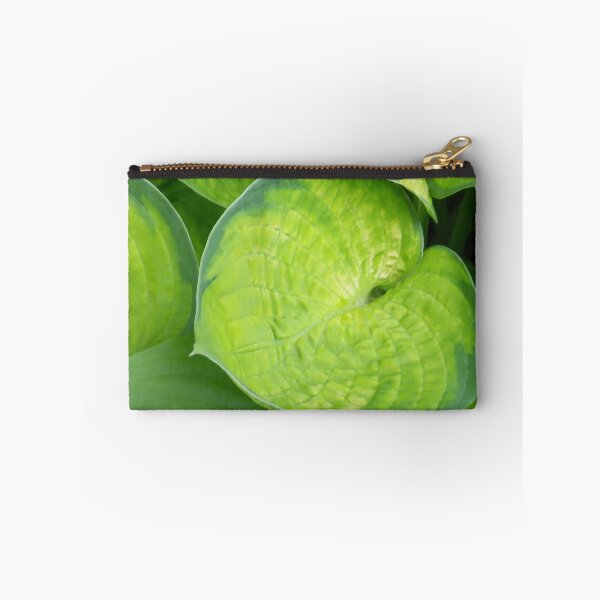 Item preview, Perennial Joy: Green Hosta Leaves designed and sold by Betty Mackey.