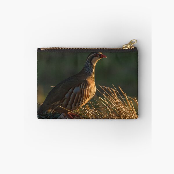 Item preview, Red-Legged Partridge designed and sold by LaurenTucker.