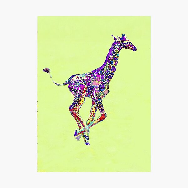 colorful baby giraffe Photographic Print