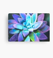 Colorful Succulent Canvas Print