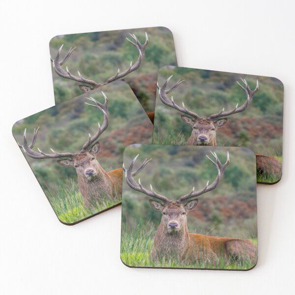 Item preview, Magnificent Stag designed and sold by iCimages.net.