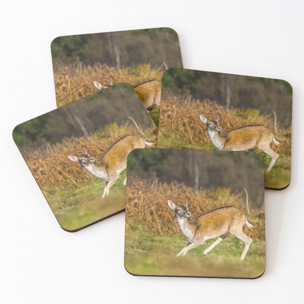 Item preview, Doe - Deer designed and sold by iCimages.net.