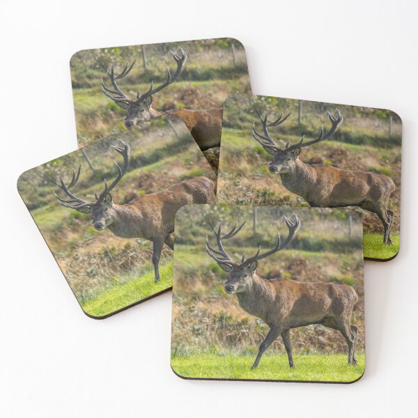 Item preview, Stag designed and sold by iCimages.net.