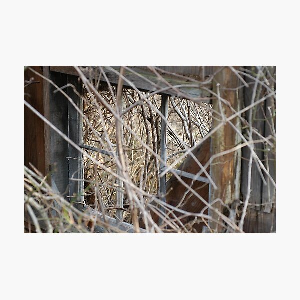 Item preview, Looking Thru the Window.... designed and sold by Corkle.