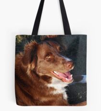 Basking in the afternoon sun Tote Bag