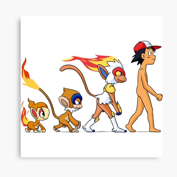 Charmander Evolution Pokemon Canvas Prints Redbubble