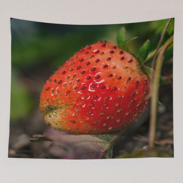 Item preview, Strawberry 3 designed and sold by KensLensDesigns.