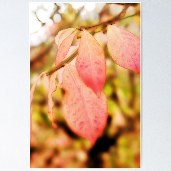 Item preview, Burning Bush designed and sold by mnkreations.