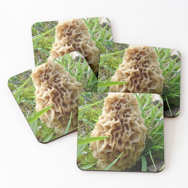Item preview, Tasty Morel designed and sold by Frankie Cat Photography.