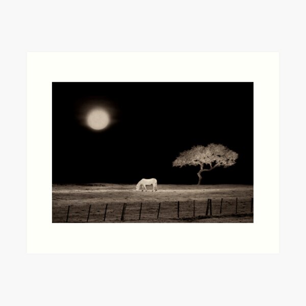 White Horse Moon Art Print