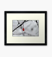 Winter Framed Print