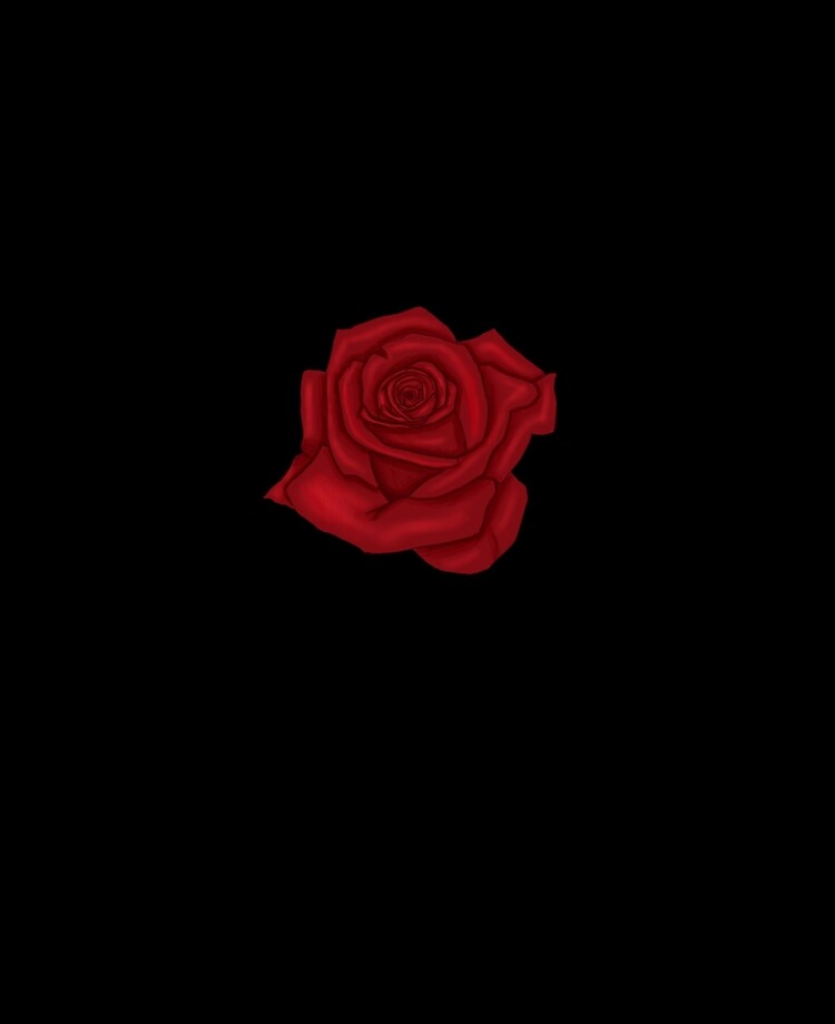 Radiant Red Rose (Black Background)