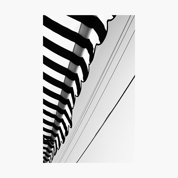 Photographic Print