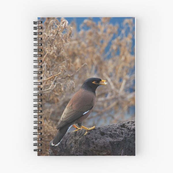 Item preview, Common Myna designed and sold by weirdoodle.
