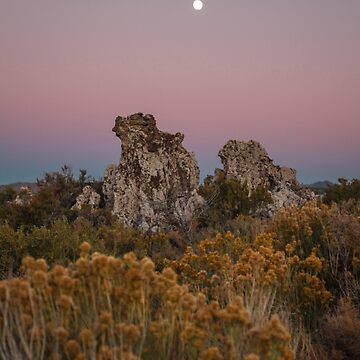 Artwork thumbnail, Evening and the Tufa Mono Lake by littleoldhag