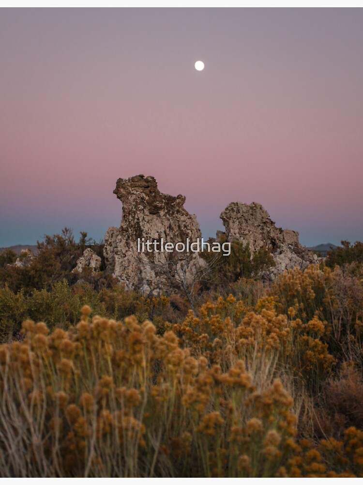 Thumbnail 3 of 3, Sticker, Evening and the Tufa Mono Lake designed and sold by littleoldhag.