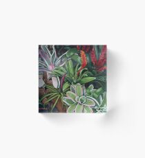 The Bromeliad Trap Acrylic Block
