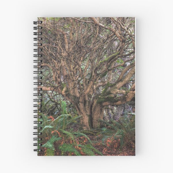 Item preview, Up Root Tree designed and sold by Diego Re.