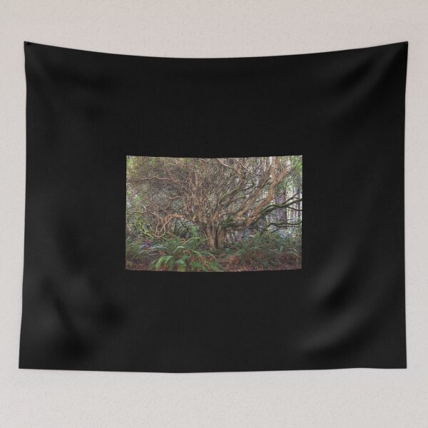 Item preview, Up Root Tree designed and sold by Diego Re.