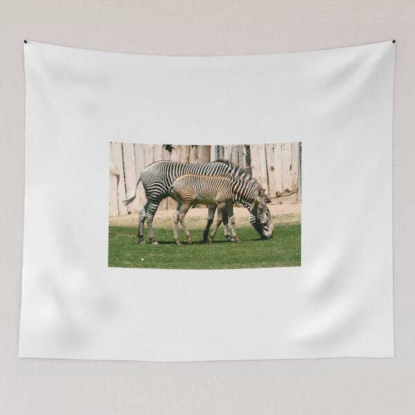 Item preview, Two Zebras designed and sold by RichImage.