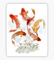 Coi pond Sticker